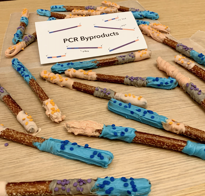 PCR Themed Snacks